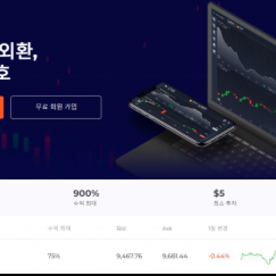 토토 ＂포렉스옵션 (FOREX OPTION)＂ 사이트