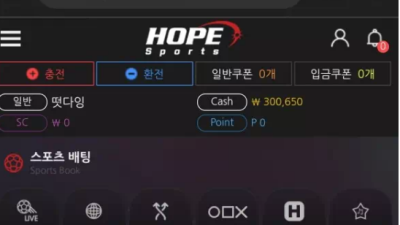 먹튀＂호프 (HOPE)＂ 확정