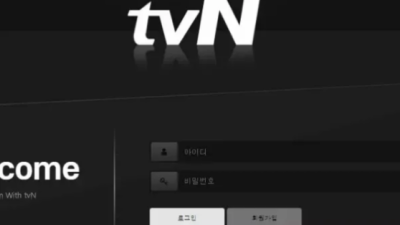 먹튀＂티비엔  (TVN)＂ 확정