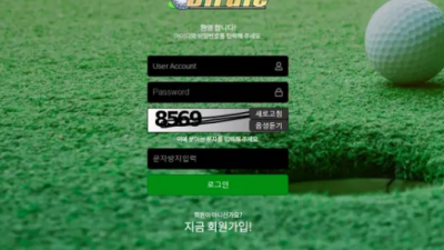 먹튀＂버디 (BIRDIE) ＂ 확정